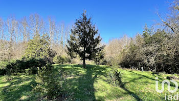 terrain à Ambares-et-lagrave (33)