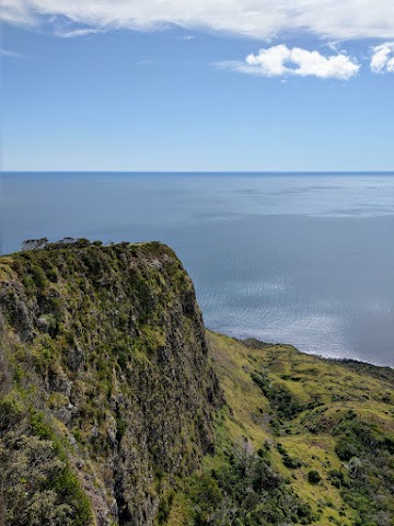 Karioi Summit Track Parking Cliff Lookouk Platform