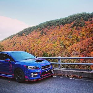 WRX STI VAB