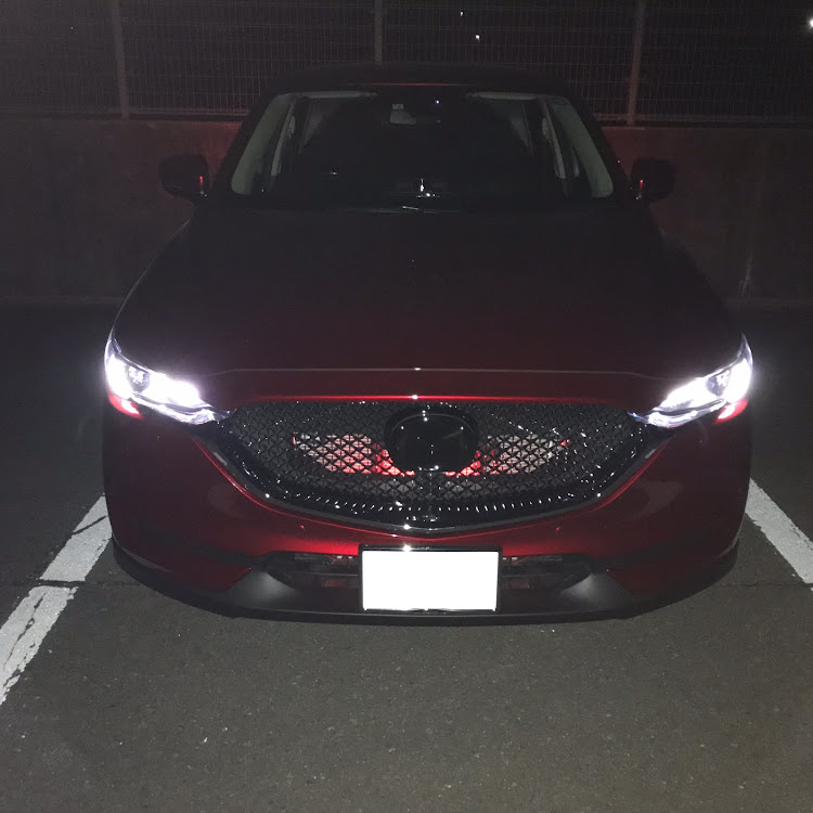 CX-5のリップスポイラー・リップスポイラー自作・DIY・フロントリップスポイラーに関するカスタム事例の投稿画像3枚目