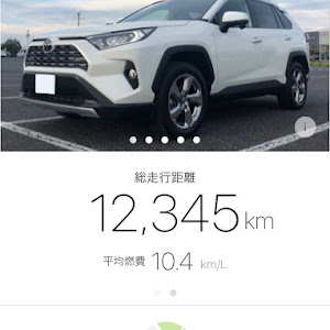 RAV4 MXAA54