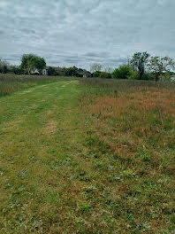 terrain à Lamarque (33)