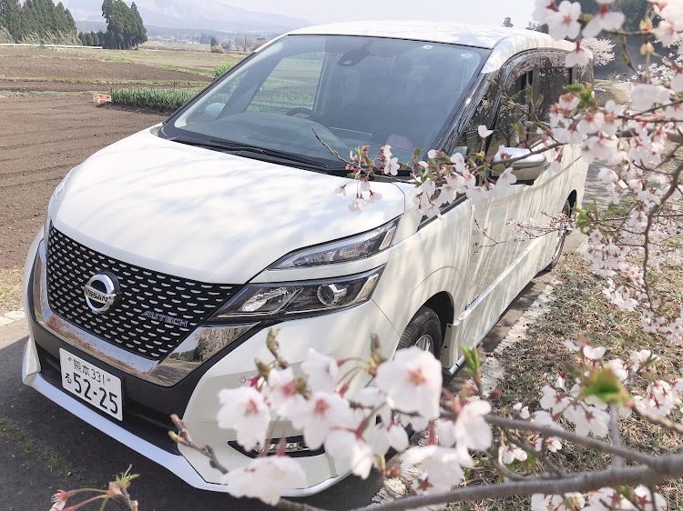 セレナの桜コラボ・セレナ・Autech・娘・穴場スポットに関するカスタム事例の投稿画像3枚目