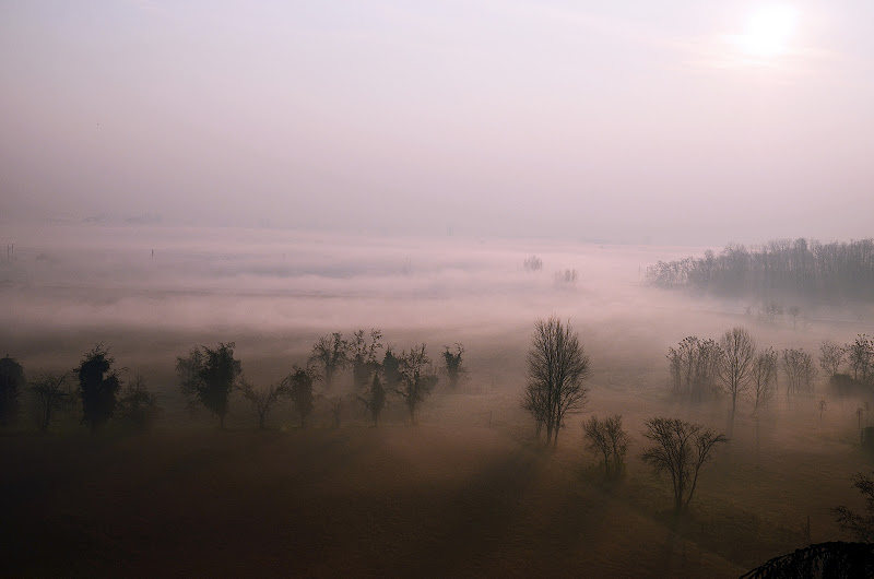 Alba Zen di nicoletta lindor