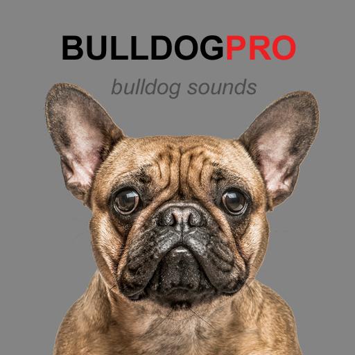 Bulldog Sounds  Dog Barks