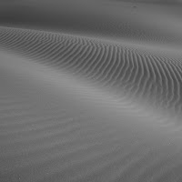 tracce tra le dune di 