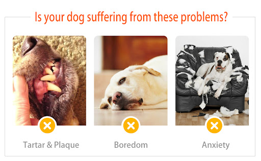 Title 3, Dog Squeaky Toys For Aggressive Chewers Almost ...