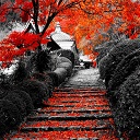 Red Leaf Beauty Chrome extension download