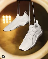 Puma photo 3