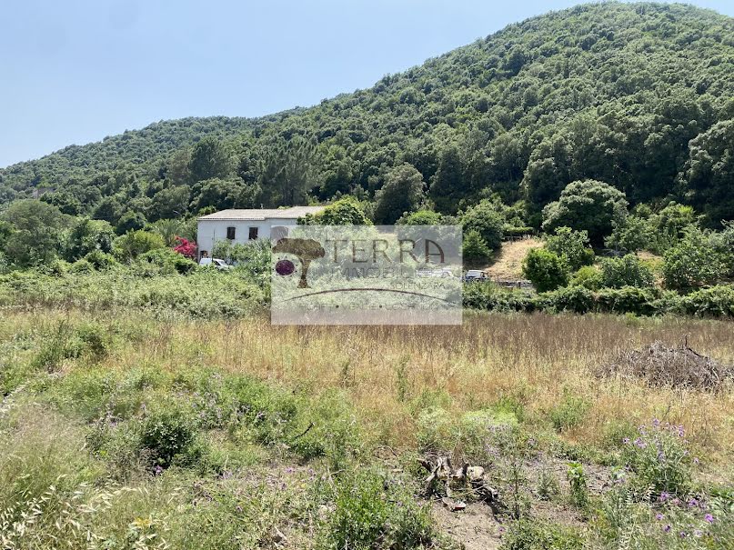 Vente terrain  1100 m² à Serra-di-Fiumorbo (20243), 131 000 €