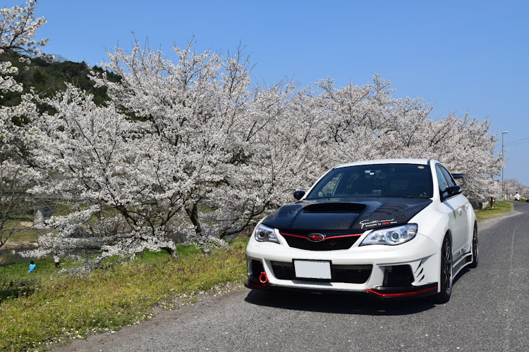 インプレッサ WRX STIの桜とコラボ・満開🌸・ドライブ・いい天気・平成最後の桜に関するカスタム事例の投稿画像5枚目