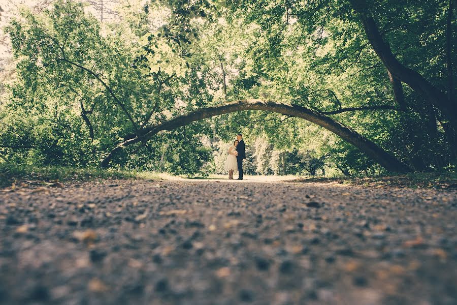 Fotografo di matrimoni Krešimir Šarčević (kresimirsarcevi). Foto del 11 luglio 2016