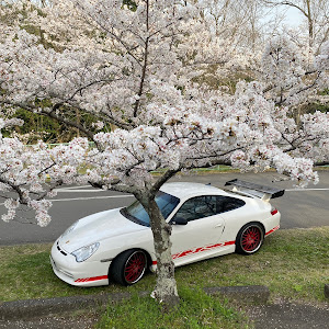 996カレラ