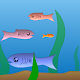 Fishy Install on Windows