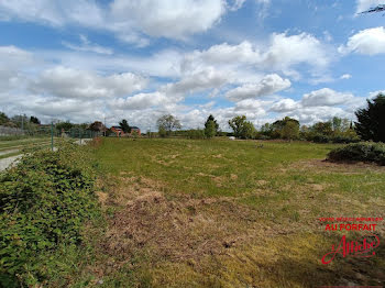 terrain à Labastide-Clermont (31)