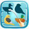 Shadow Matching Puzzles icon