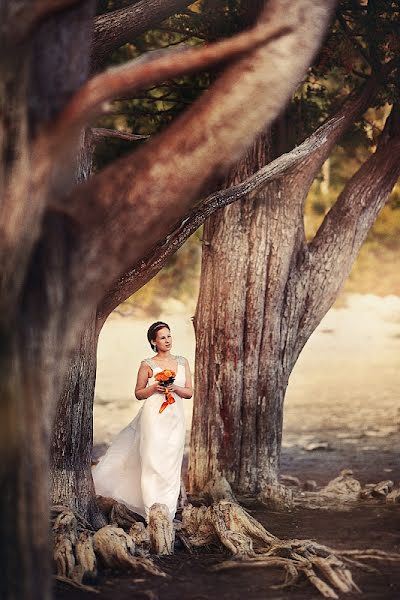 Photographe de mariage Aleksey Gorodko (agor). Photo du 8 octobre 2013