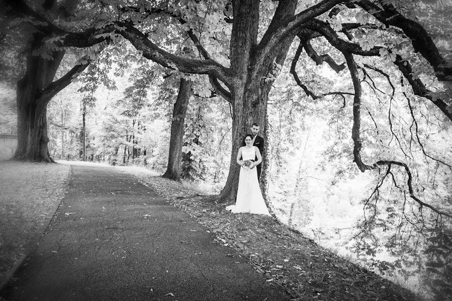 Fotografo di matrimoni Thomas Kocher (kocher). Foto del 9 marzo 2019