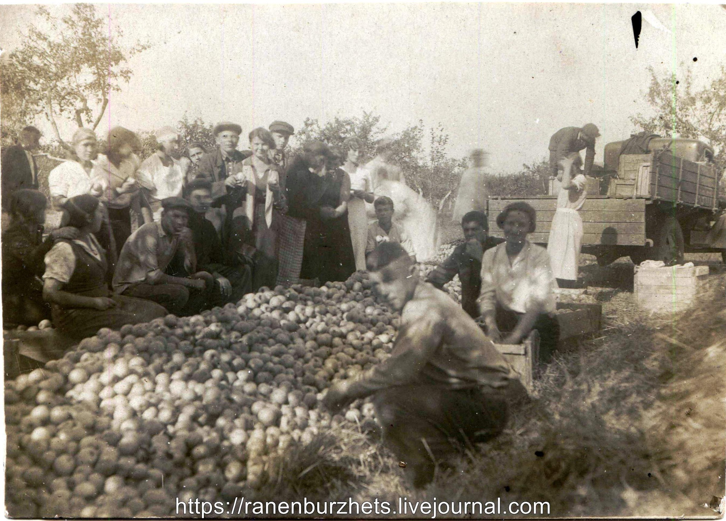 Учебная практика в Мичуринском Плодовоовощном институте, 1937 год. Сортировка, геодезии, Занятия, тракторе, урожая, яблок, Учхоз, уголок, Красный, Вождение, Гвоздева, студента , бывшего, альбома, личного, Плодоовощного, института, Сергеевича, Александра, Мичурина