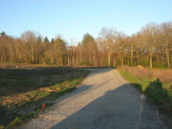 terrain à Verneuil-sur-Vienne (87)