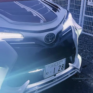 C-HR ZYX10