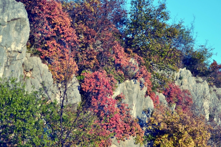 Colori e roccia carsica di PaoloFranceschini