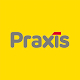 Praxis Install on Windows