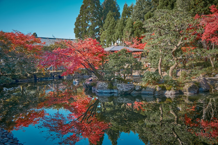 の投稿画像3枚目