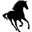 Horses Wallpapers NewTab Theme