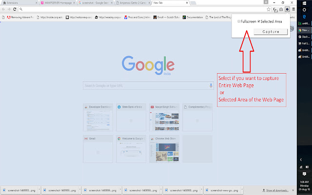 Screen Capture, Screenshot Full Page PRO chrome extension