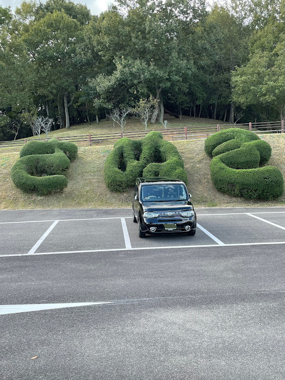 の投稿画像1枚目