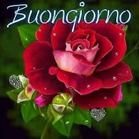 Buongiorno Fiori Immagini 21 Download Apk Free For Android Apktume Com