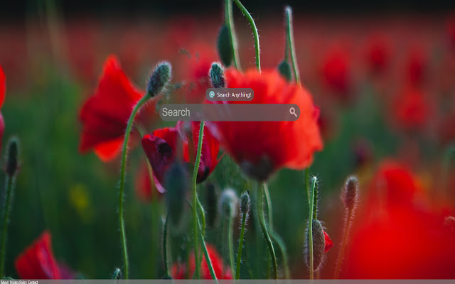 Search Anything chrome extension
