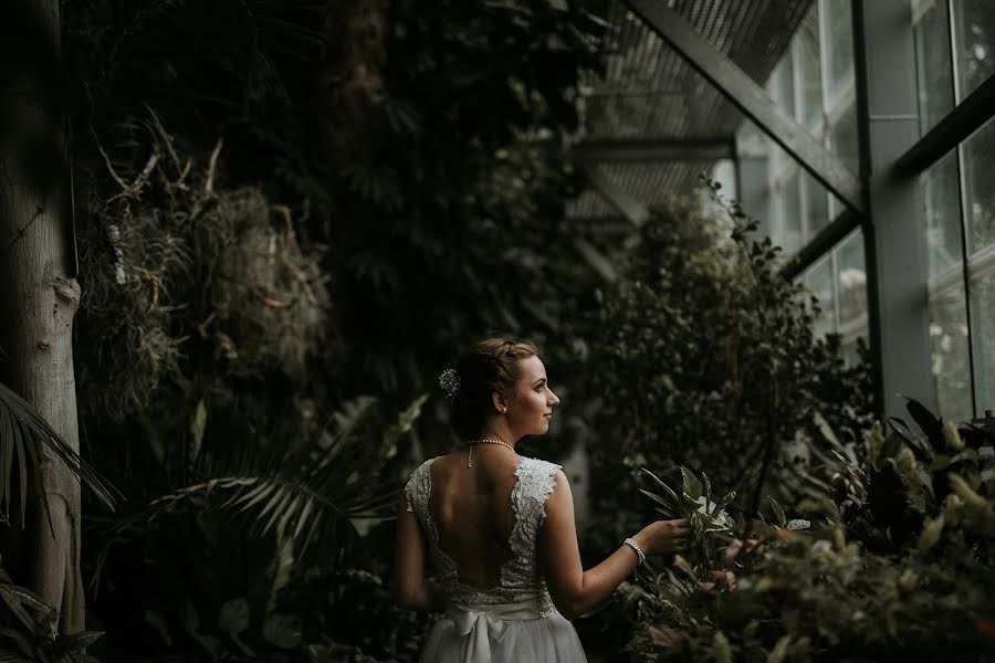 Photographe de mariage Györgyi Kovács (kovacsgyorgyi). Photo du 14 août 2017