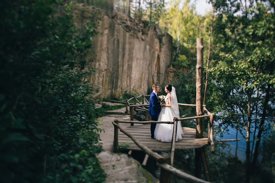 Fotógrafo de bodas Darina Zdorenko (gorodinskaj). Foto del 4 de diciembre 2018