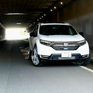 CR-V RW1