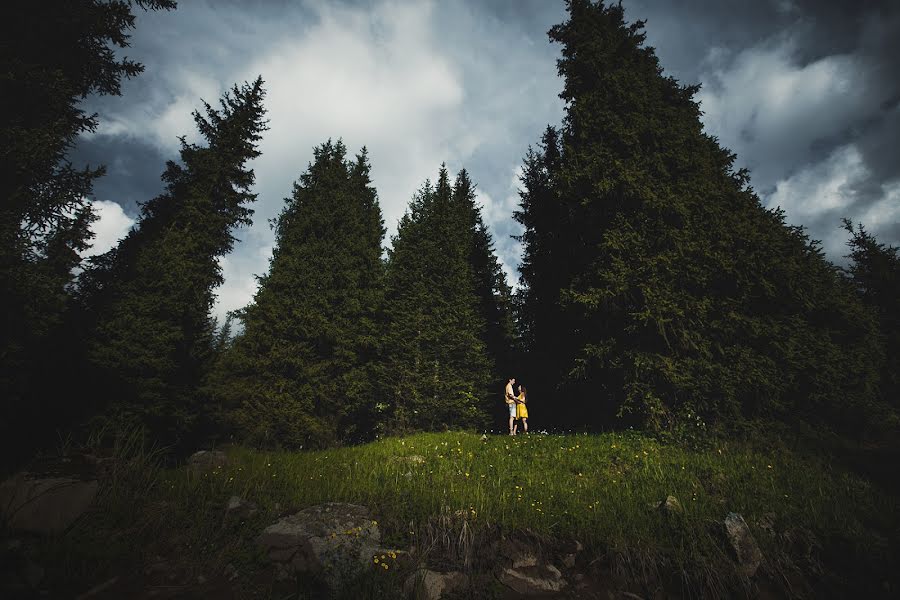 Fotógrafo de casamento Veronika Bendik (veronikabendik3). Foto de 4 de fevereiro 2015