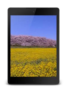 How to download Spring HD Video Wallpaper patch 1.0 apk for laptop