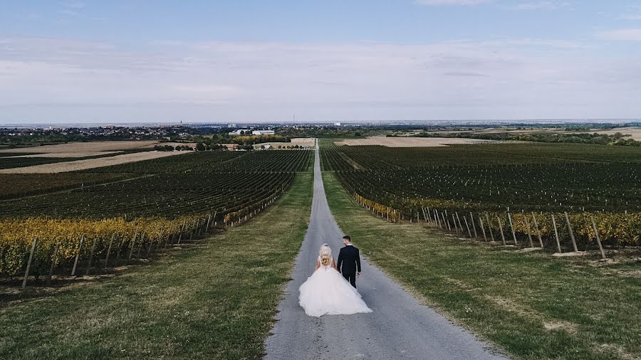 Fotografo di matrimoni Nikola Segan (nikolasegan). Foto del 7 novembre 2017