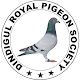 Download Dindigul Royal Pigeon Society For PC Windows and Mac 3.1