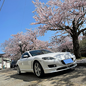 RX-8 SE3P