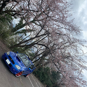 インプレッサ WRX STI GDB