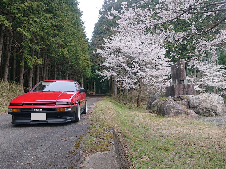 スプリンタートレノのドライブ・サクラと愛車・AE86に関するカスタム事例の投稿画像2枚目