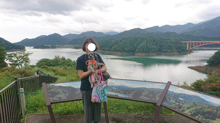 ミライースのハンナちゃん🐶と一緒・宮ヶ瀬湖で散歩・神奈川県 道の駅②・連日の投稿すいませんに関するカスタム事例の投稿画像5枚目