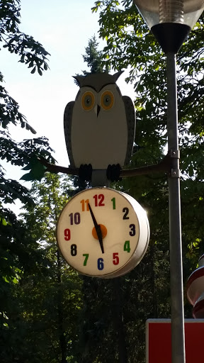 Owl Clock