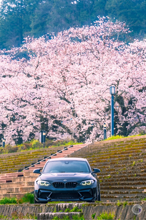 M2 クーペのdiscover＿ct・桜とコラボ・sel400f28gm・bmwに関するカスタム事例の投稿画像3枚目