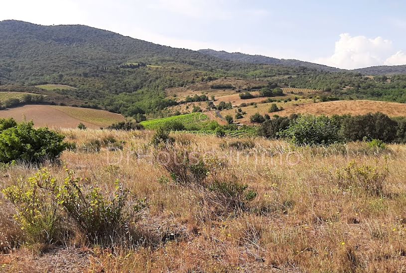  Vente Terrain agricole - 7 475m² à Montner (66720) 