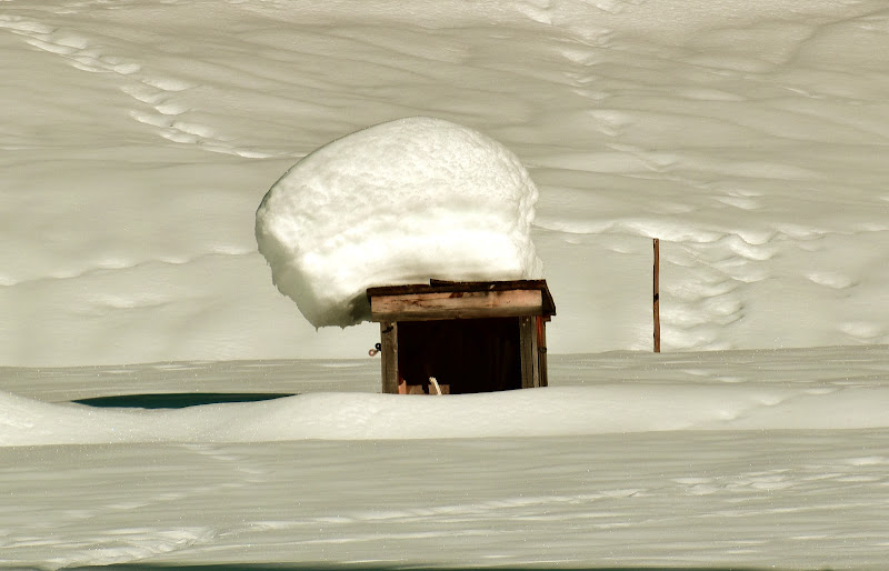 un soffice cumolo di neve di renzo brazzolotto