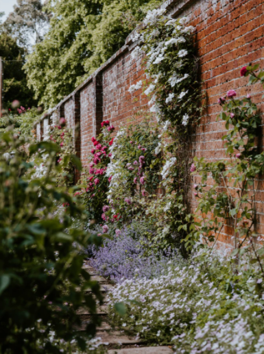 tall brick wall with plants and climbers and flowers at bottom