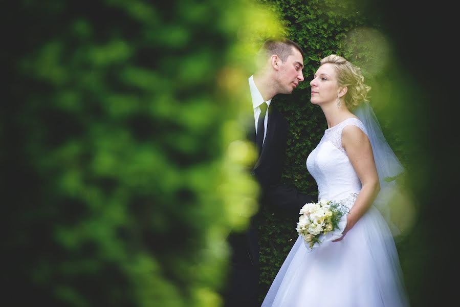 Photographe de mariage Andrzej Wilusz (fotopegaz). Photo du 10 février 2020